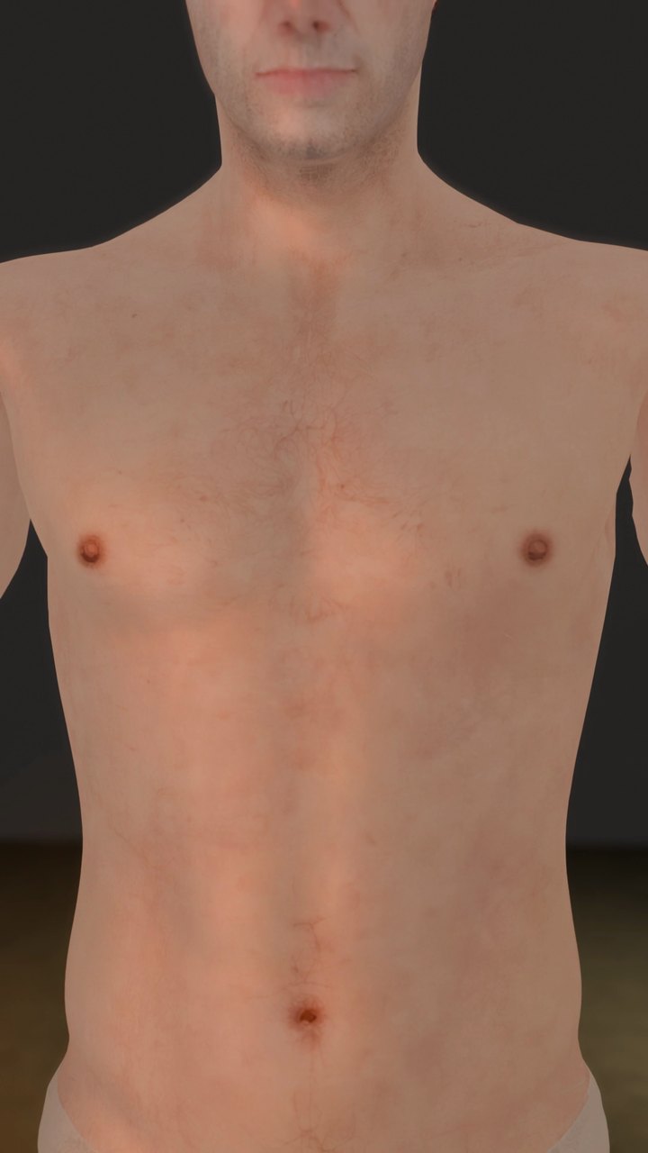 Rendu Blender : le torse cadré du menton au nombril, shading neutre